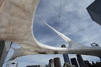 Adhesive Web Installations Image 2