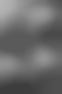 Heat-Sensitive Statues : going gone gorilla