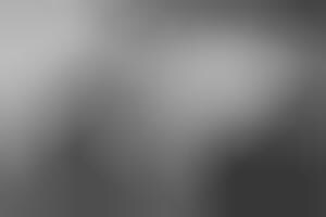 Heat-Sensitive Statues : going gone gorilla