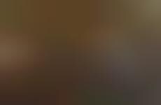 Toronto Social Media Internships