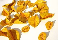 Exquisite Edible Embellishments Image 6