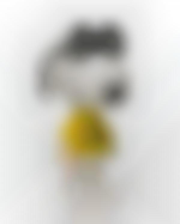 Beagle Designer Toys