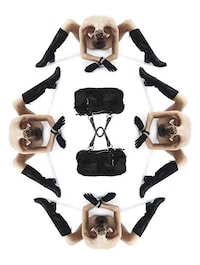 Aerial Rorschach Editorials Image 6