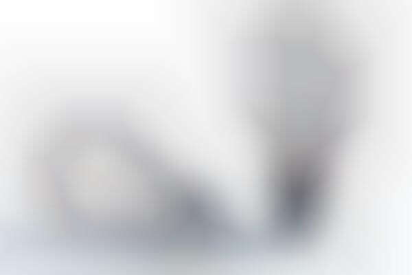 Looseleaf Light Bulbs
