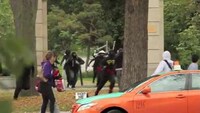 Ninja Ambush Videos Image 2