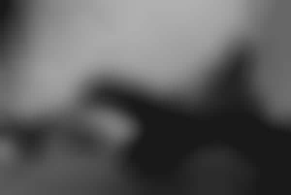 Hard Rock Homme Shoots