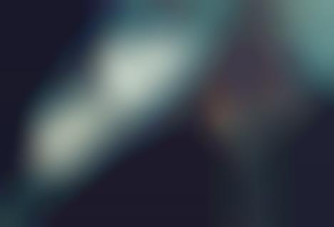 Statuesque Garden Captures