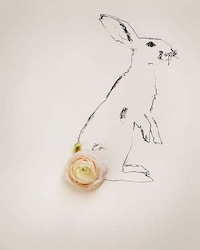Flora-Fauna Fusion Art Image 4