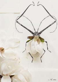 Flora-Fauna Fusion Art Image 8