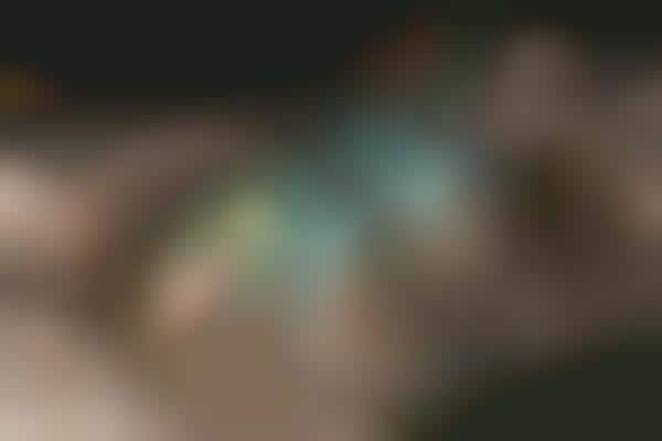 Playfully Fanciful Photography
