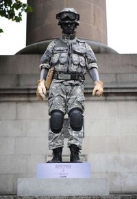 Solemn Soldier Campaigns Image 5
