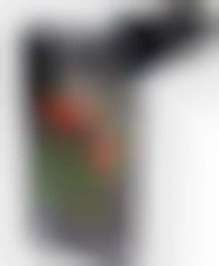 iPhone Camera Lens