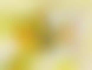 Science of Scent Marketing