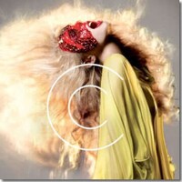 Fashion Photography as Fine Art