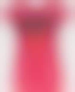 Supportive Fan Fashion