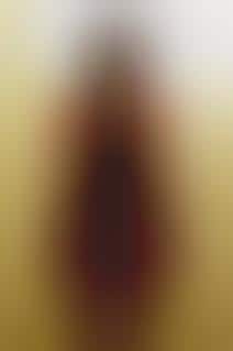 Fashion From Recycled Plastic