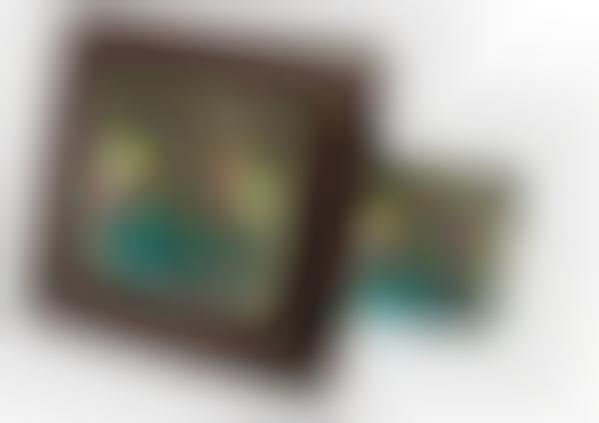 Digital Picture Frame That Prints