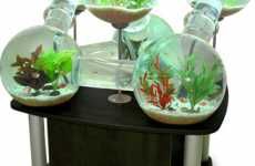 Multi-Room Fish Tanks