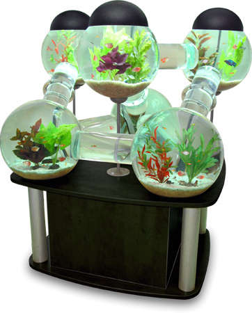 Multi-Room Fish Tanks
