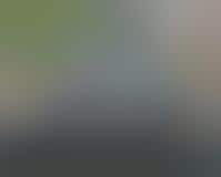 Bespoke Ice Cream Vans  (2)