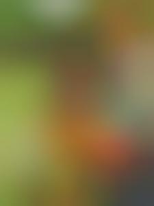 Spooky Image-Altering Apps