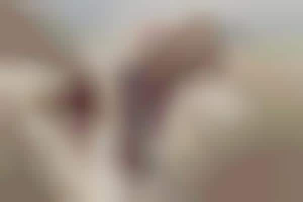 hipster hiking clothes