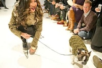 Couture Canine Runways Image 2