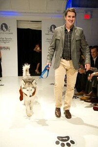 Couture Canine Runways Image 4
