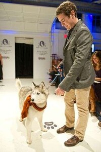 Couture Canine Runways Image 5