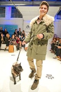 Couture Canine Runways Image 7