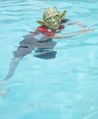 Jedi Master Life Photography Image 7