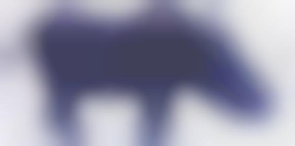 Charitable Animal Sculptures 