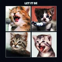 Cat-Altered Album Blogs Image 4