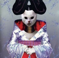 Cat-Altered Album Blogs Image 8