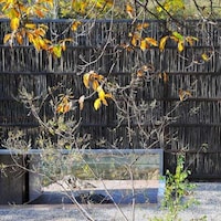 Landscape-Blended Architecture Image 5