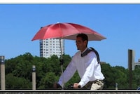 Protective Cycle Canopies Image 6