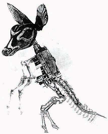 Machine-Animal Illustrations