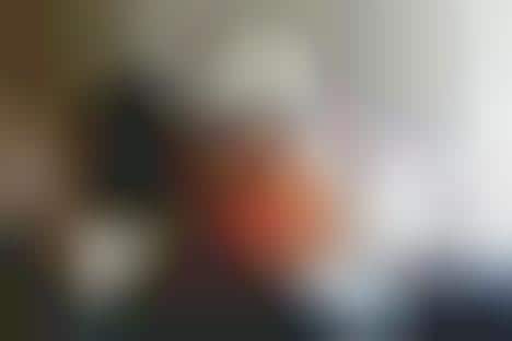 Intimate Designer Abodes