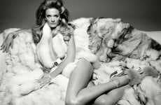 Flirty Feline Fashion