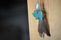 Ferocious Feathered Accessories Image 4