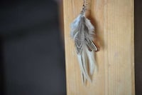 Ferocious Feathered Accessories Image 7