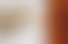 Tech-Savvy Paint Predictors