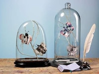 Fashionable Folded Photography Image 3