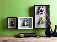 Fashionable Folded Photography Image 4