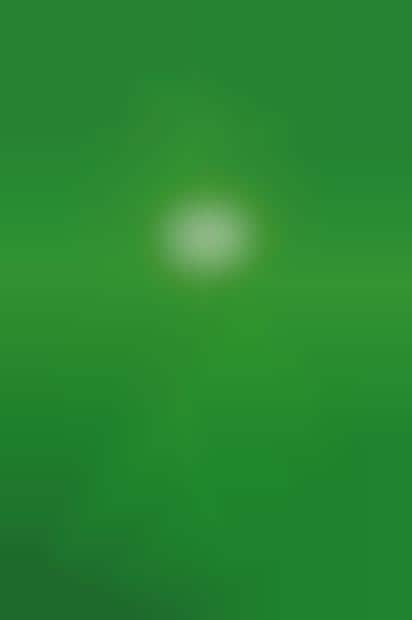 Clover Search Campaigns