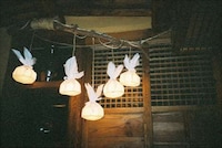 Candid Photo Travel Guides Image 5