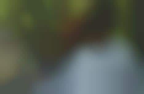 Virtual Vintage Shopping