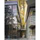 Naturally Constructed Abodes Image 3