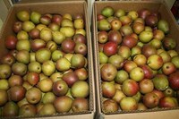 Food Desert Distributors Image 5