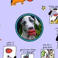 Pouty Pooch Playthings Image 6